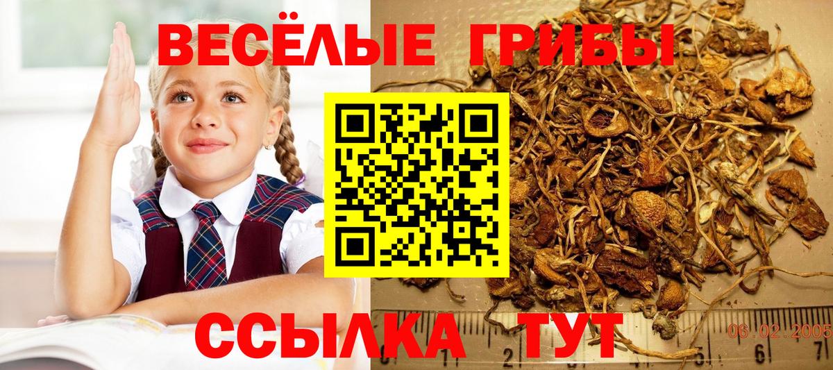 Галлюциногенные грибы прущие грибы Арзамас