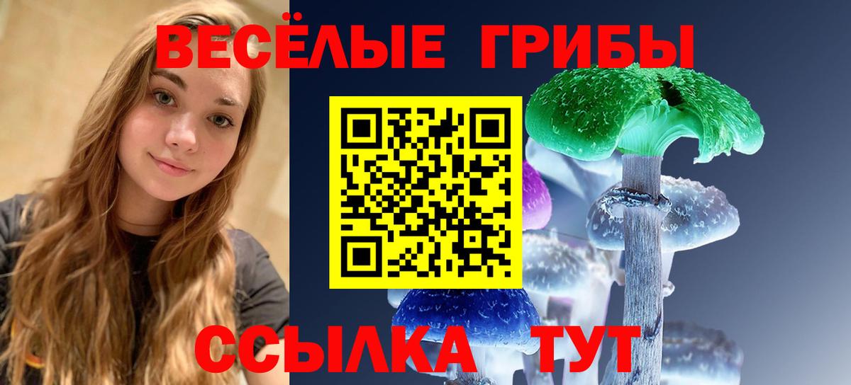 Псилоцибиновые грибы ЛСД  Псилоцибиновые грибы мухоморы  Арзамас  где продают наркотики  Вход с VPN 